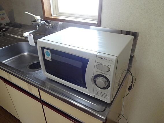 コーポアイリス_その他_2