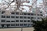 周辺：仙台市立鹿野小学校 徒歩18分。 1400m