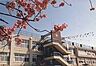 周辺：上杉山通小学校まで徒歩10分(788ｍ)