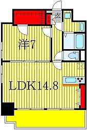 JR常磐線 柏駅 徒歩7分の賃貸マンション 13階1LDKの間取り