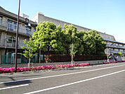 中学校「西東京市立明保中学校まで1239m」