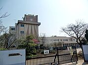 小学校「春日部市立牛島小学校まで1380m」