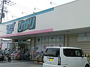 ドラッグランドひかり  西賀茂店（577m）