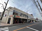 ライフ 川崎塚越店（281m）