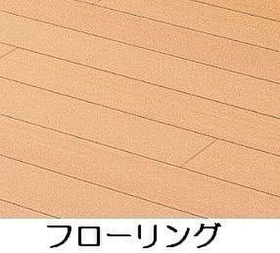 コリーナ　デルソーレ ｜埼玉県さいたま市見沼区大字御蔵(賃貸アパート1LDK・1階・47.41㎡)の写真 その3