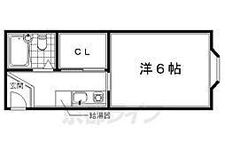 レディース井上 1階/C