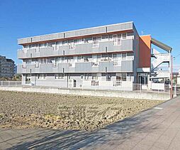 ｓｕｍｉｋａ 303