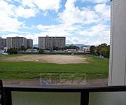 目前が公園で景色が良いです。