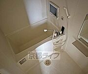 3点セパレート