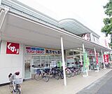 スギ薬局常盤店まで779m 駐車場も広々としています。
