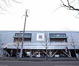 ユニクロ上桂店まで195m みんなが好きなカジュアルです。