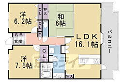 ラフィーネ膳所 5階/507