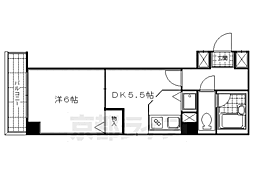 ドルフィン5 1DKの間取図画像