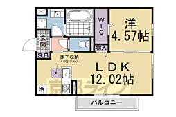 リバーハイツ唐崎 1LDKの間取図画像