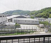 南向きの風景。