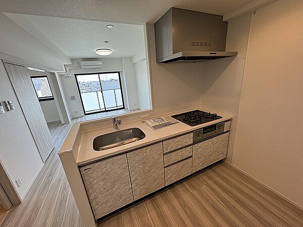 S-RESIDENCE王子Nord 901｜東京都北区王子3丁目(賃貸マンション2LDK・9階・53.58㎡)の写真 その4