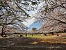 周辺：【公園】蕨市民公園まで476ｍ