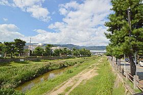 増田ビル  ｜ 兵庫県芦屋市茶屋之町（賃貸マンション2LDK・4階・40.00㎡） その7