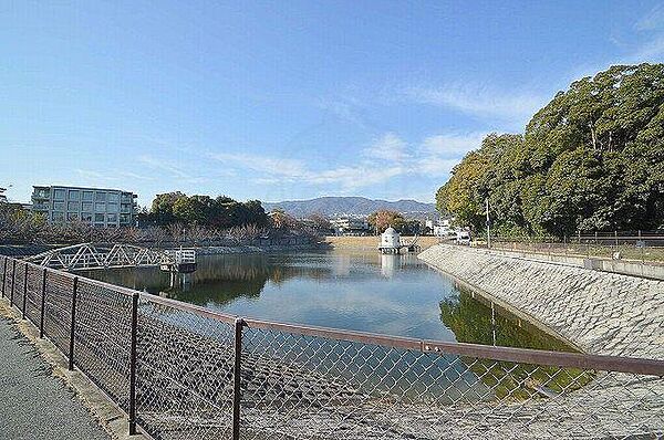 兵庫県西宮市瓦林町(賃貸マンション1LDK・4階・42.00㎡)の写真 その29