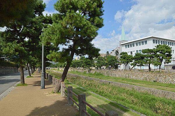 兵庫県芦屋市東芦屋町(賃貸マンション1DK・3階・24.75㎡)の写真 その25