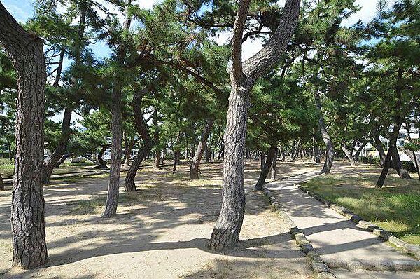 兵庫県芦屋市大原町(賃貸マンション2DK・4階・34.00㎡)の写真 その30