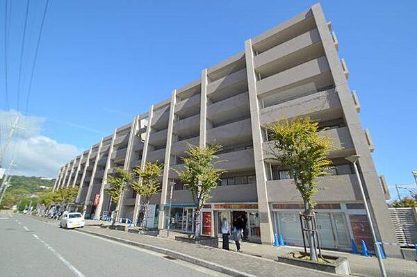 兵庫県西宮市樋之池町(賃貸マンション3LDK・1階・81.79㎡)の写真 その3