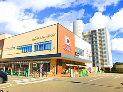 デイリーカナートイズミヤ伏見店