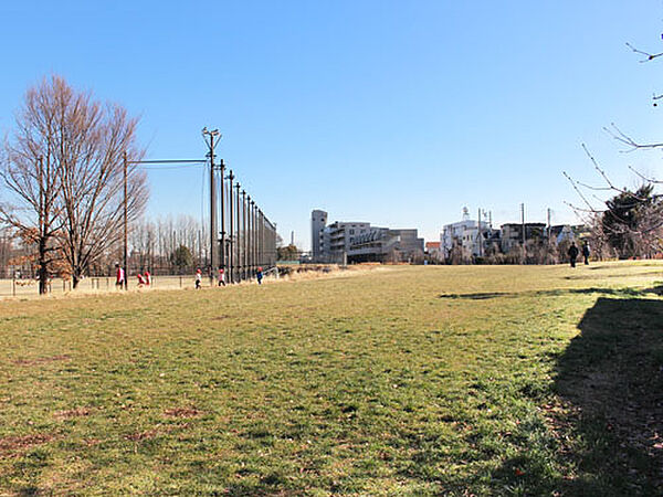 画像13:【公園】赤羽自然観察公園まで908ｍ