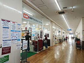 キングハウス王子 102 ｜ 東京都北区西ケ原2丁目7-24（賃貸アパート1R・1階・24.63㎡） その21