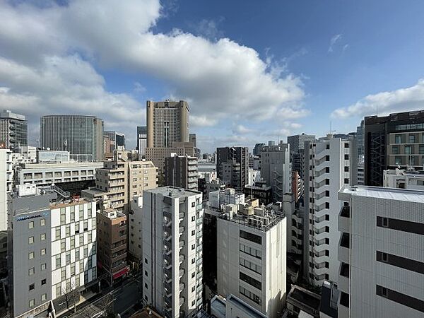 東京都千代田区神田神保町1丁目(賃貸マンション1LDK・13階・41.48㎡)の写真 その17