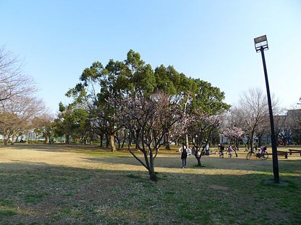 画像15:【公園】東綾瀬公園まで245ｍ