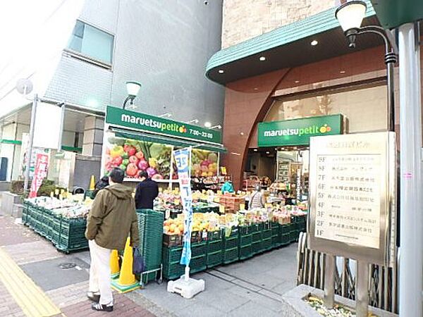 画像14:【スーパー】マルエツ プチ 本郷二丁目店まで252ｍ