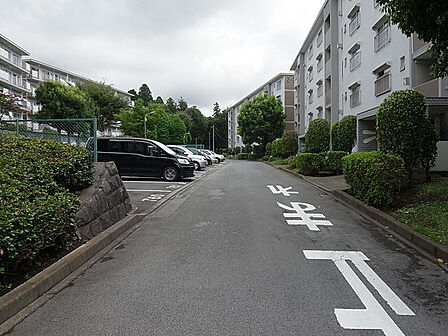 緑豊かな街並み