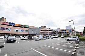 ニュー楠丘 501 ｜ 兵庫県神戸市灘区楠丘町５丁目6番15号（賃貸マンション1LDK・5階・39.03㎡） その25