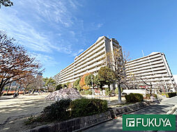 物件画像 シティコーポ鴫野2号棟