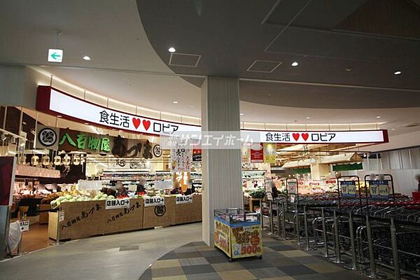 画像30:ロピア所沢 島忠ホームズ店 徒歩6分。 420m