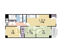 コーポ車道 4階/405