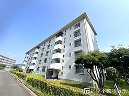 物件画像 四箇田団地33号棟