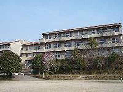 apartment 茨城県取手市ゆめみ野2丁目7-3
ゆめみ野の賃貸情報を見る
物件地図