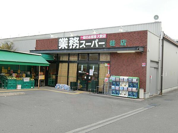 ベネッセ桂川 ｜京都府京都市西京区桂上野西町(賃貸マンション2LDK・2階・59.40㎡)の写真 その22