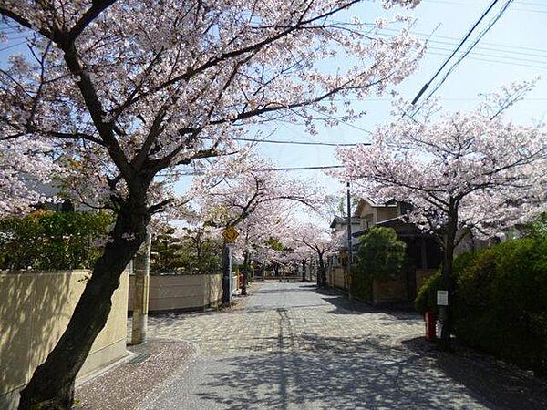 ITパレス21 ｜京都府向日市物集女町中海道(賃貸マンション1K・2階・25.92㎡)の写真 その29