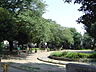 周辺：近くの公園