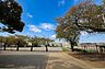 周辺：町田市立町田第六小学校まで約187m～239m