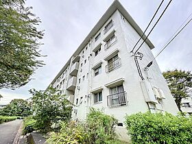 田園青葉台住宅団地　14号棟 402 ｜ 神奈川県横浜市青葉区青葉台１丁目（賃貸マンション3LDK・4階・65.92㎡） その15