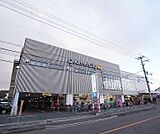 グルメシティ 上桂店まで550m ダイエー系列で商品のラインナップも豊富です