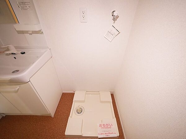 画像29:室内洗濯機置き場