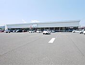 カワチ薬品 鮎川店（560m）