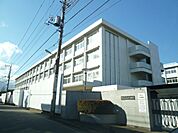 高校「東京都立保谷高校まで310m」