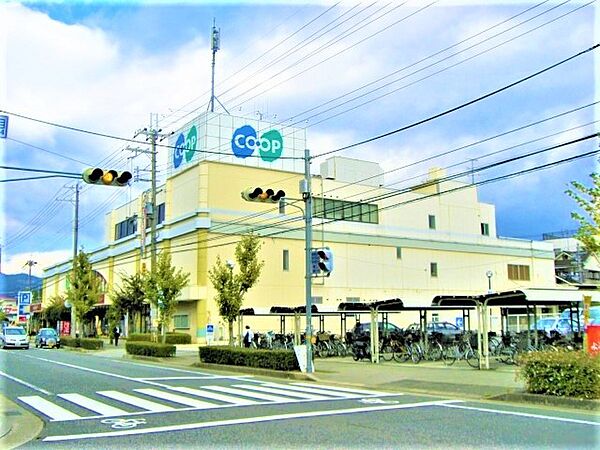 サンセリテ宝塚 ｜兵庫県宝塚市安倉南2丁目(賃貸マンション3LDK・2階・65.05㎡)の写真 その23