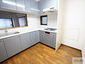 グリーンエクセル宝塚  ｜ 兵庫県宝塚市栄町3丁目（賃貸マンション3LDK・2階・90.61㎡） その9